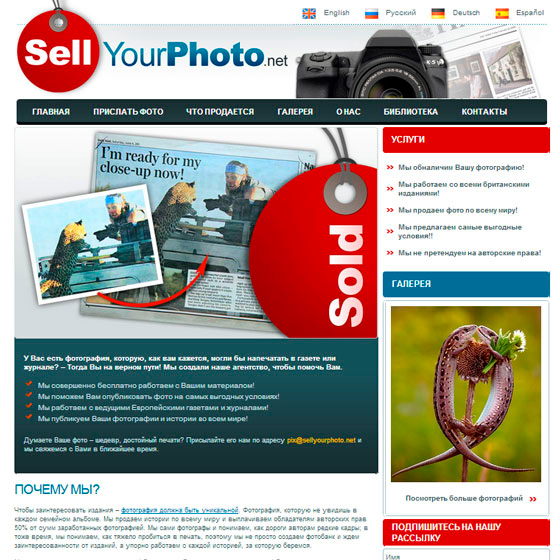 portfolio image 6